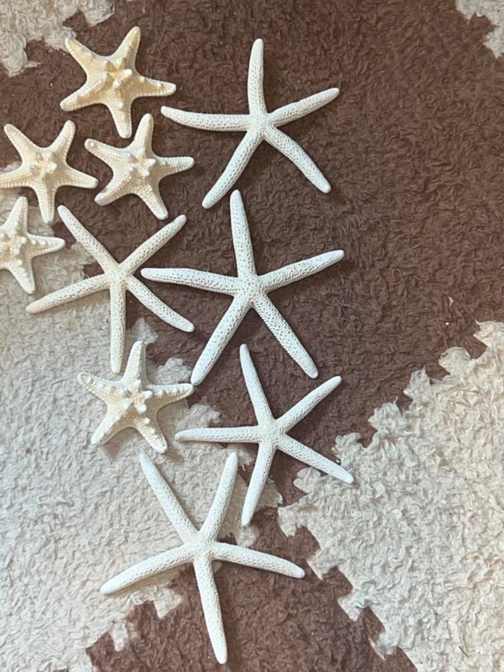Bleached White Starfish Decor